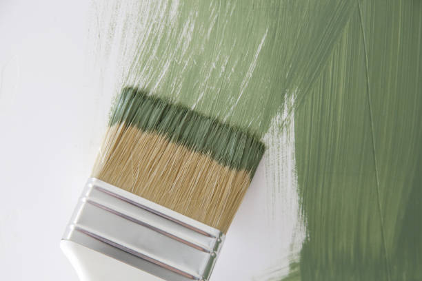 Best Mold Prevention Services  in Payne, OH