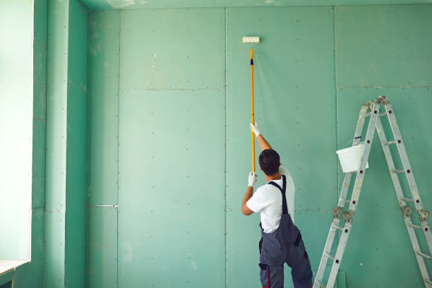 Best Mold Remediation for Healthcare Facilities  in Payne, OH
