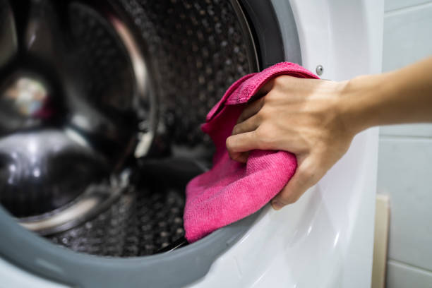 Professional Mold Removal in Payne, OH