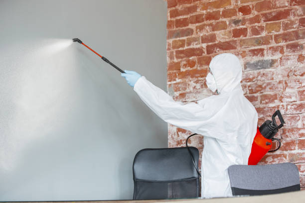 Best Mold Prevention Services  in Payne, OH