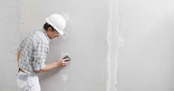 Best Commercial Mold Inspection  in Payne, OH
