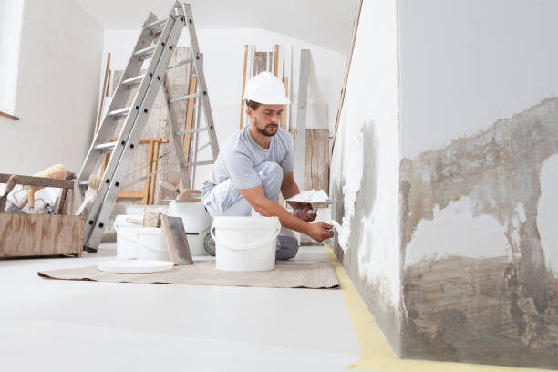 Best Airborne Mold Testing  in Payne, OH