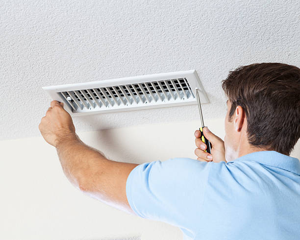 Best Environmental Consulting for Mold Prevention  in Payne, OH